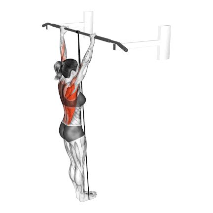 Pull Ups Vs Chin Ups The Ultimate Comparison