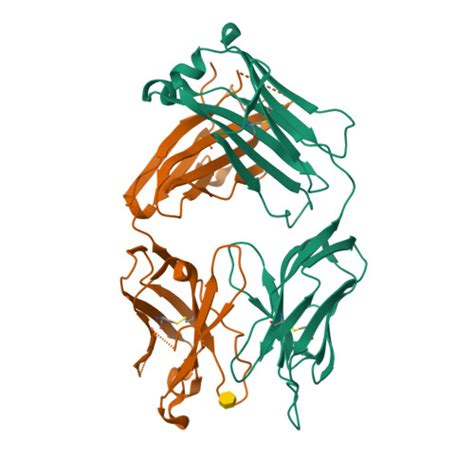 Rcsb Pdb Phq Crystal Structure Of S In Complex With Kdo