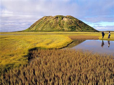 ibyuk pingo spectacular nwt