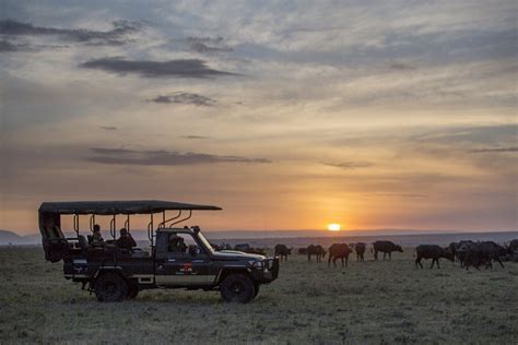 Masai Mara Safari | Best Kenya Safari Experiences | Art Of Safari