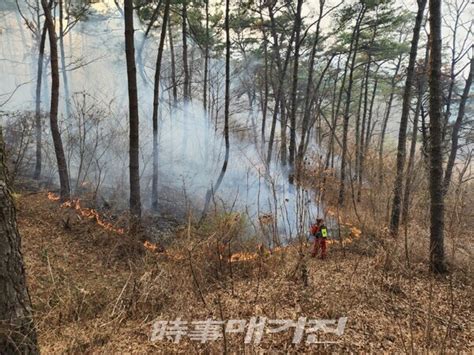 전북 정읍 산불 산림당국 3시간만에 진화 완료