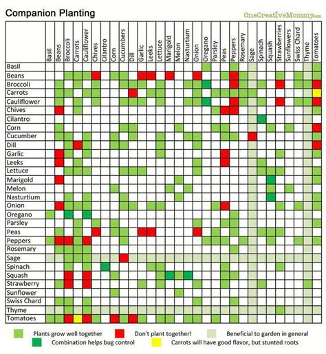 Companion Planting Chart