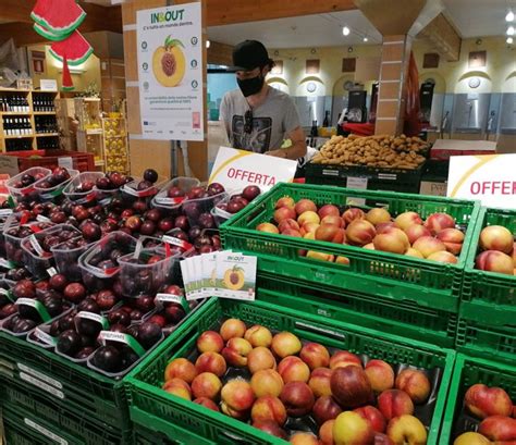 Ortofrutta Protagonista In Punti Vendita Bologna Ore It