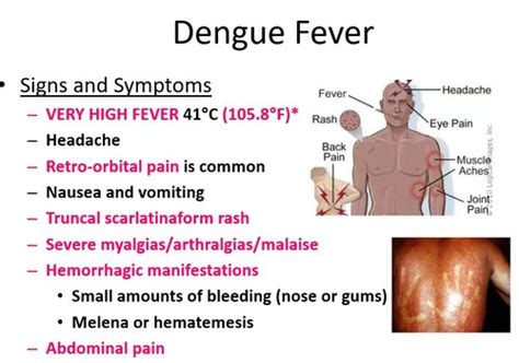 Infectious Diseases Flashcards Quizlet