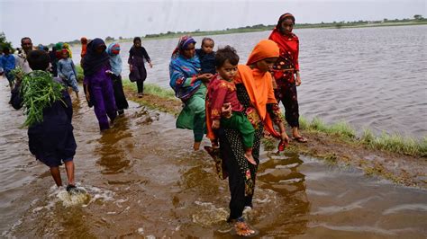 Pakistan dubs floods "climate catastrophe" as deaths surpass 1,000