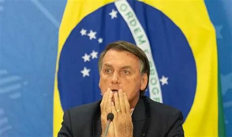 Bolsonaro Aceita Destino Inevitável Como Boi Manso Para O Matadouro