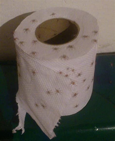 [50 50] Spiders On Toilet Paper Nsfl Toilet Paper Made Out Of Money Sfw R Fiftyfifty