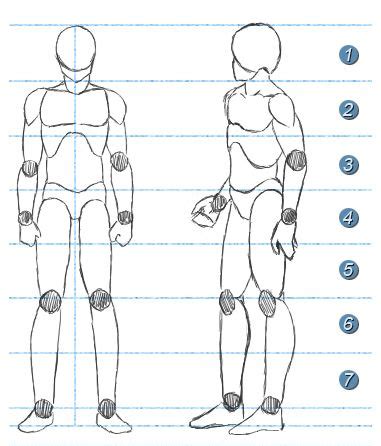 Como Dibujar Manga Proporciones Del Cuerpo Proporciones Del Cuerpo