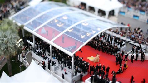 Cannes 2019 Une Semaine De La Critique Riche En Premiers Films