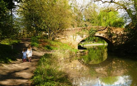 A circular walk for the whole family around The Cowdray Estate