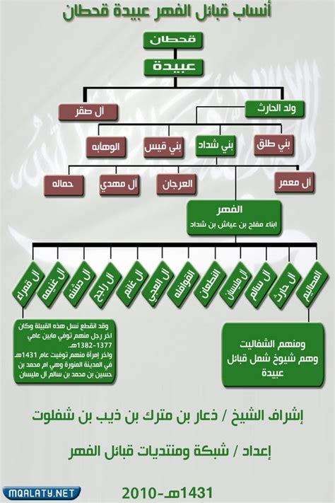 شجرة قبيلة قحطان الرئيسية وفخوذها موقع مقالاتي