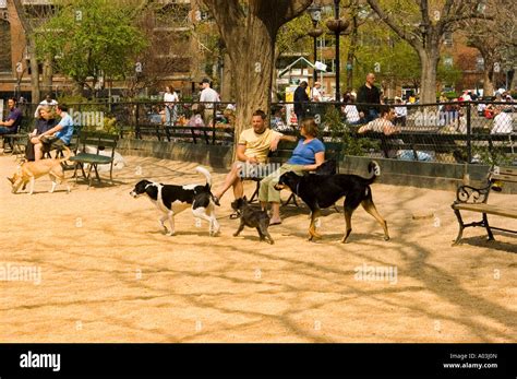 New York City New York Dog Park In Washington Square In Greenwich