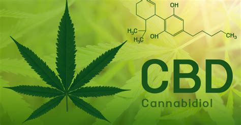 7 Things You Should Know About Cannabidiol Healthsnew