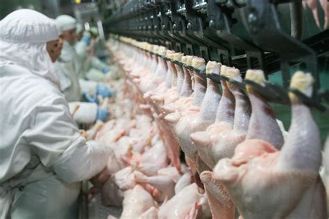 Meat Plant Workers Face Increased Risk Of Contracting Coronavirus Eater