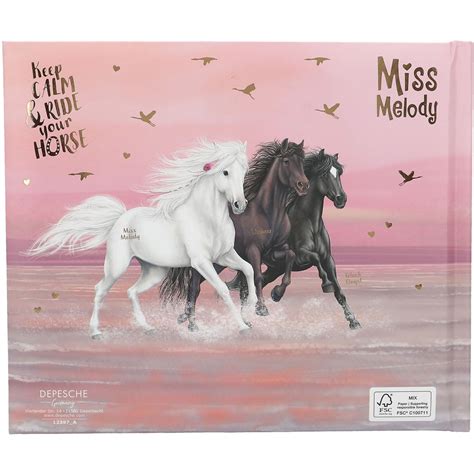 Depesche Miss Melody Freundebuch Motiv Sundown