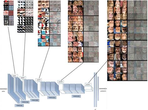 Illustration Of The Hierarchical Concepts Learned By A Deep Learning