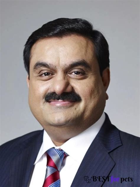 Adani Enterprises Shares Rally 9 But Adani Total Gas Bestforpets