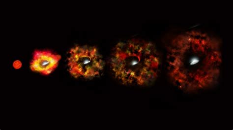 Collapsing Star Gives Birth to a Black Hole