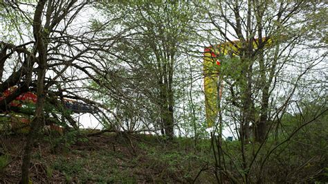 Pilot Stirbt Bei Flugzeugabsturz In Michelstadt Hessenschau De Panorama