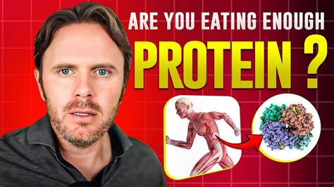 Are You Getting Enough Protein The Far Reaching Effects Of Protein