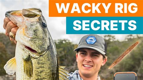 Unlocking Bass Fishing Secrets With The Wacky Rig Bassforecast