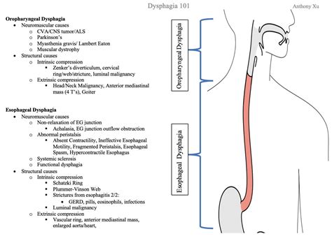 GrepMed On Twitter Dysphagia Differential Diagnosis Schema Via Dr