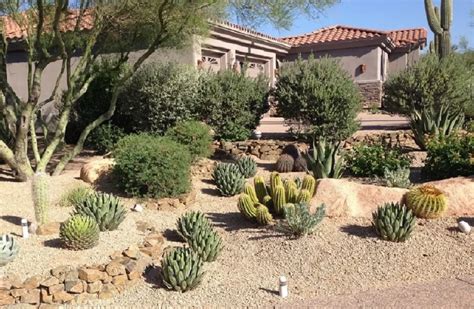 10 Inexpensive Desert Landscaping Ideas - SlushWeb