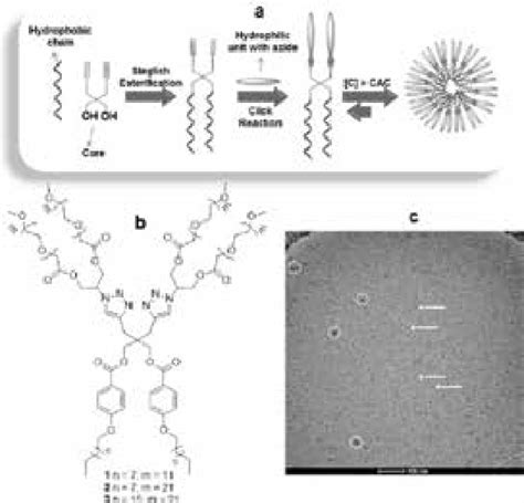 (a) Synthetic approach and self-assembly of the amphiphiles in aqueous ...