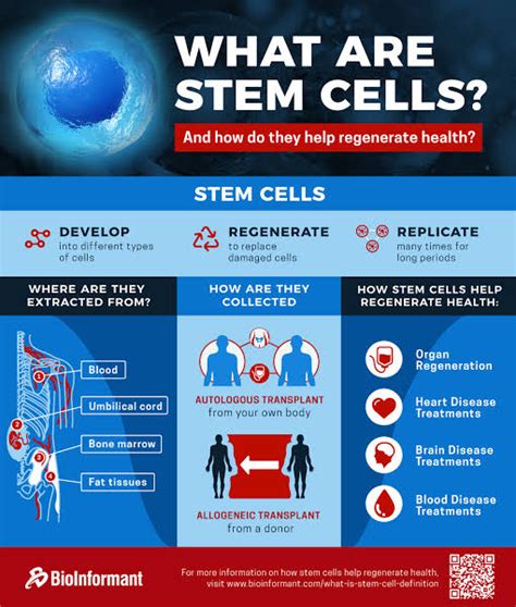 Routes Of Administration In Stem Cell Treatment Healthstatus