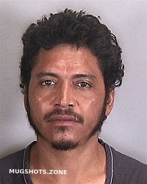 Cruz Fernando Manatee County Mugshots Zone