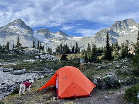 Coast Mountains BC : r/hikingwithdogs