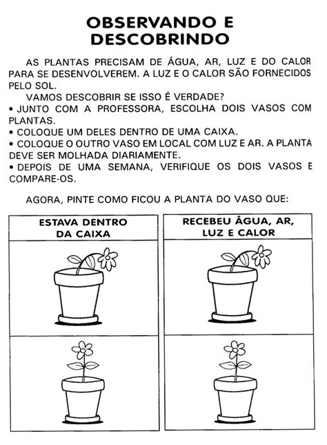 Atividade Sobre As Plantas Educação Infantil - Atividade Sobre As Plantas Educação Infantil - NAZAEDU