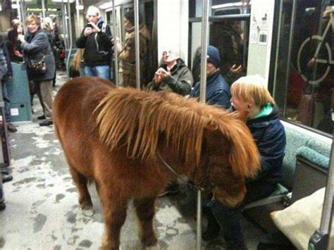 27 photos incroyables prises dans le métro Breakforbuzz