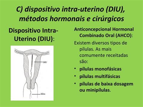 Gravidez Na Adolescencia Ppt