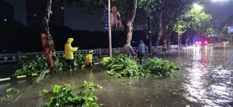 强雷电、8 10级雷雨大风突袭！衢州在行动凤凰网浙江凤凰网