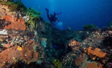 Wreck Diving Melbourne Dive Gear Australia