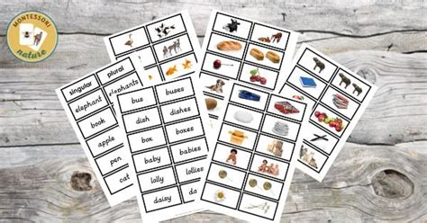 Regular And Irregular Plural Nouns Game Print And Digital The