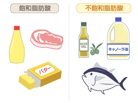 不飽和脂肪酸は酸化しやすい、加熱料理はオリーブ油がおすすめ 知ると得する栄養雑学・豆知識：アスレシピ