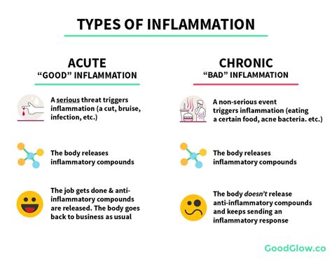 Whats the difference between acute and chronic inflammation?