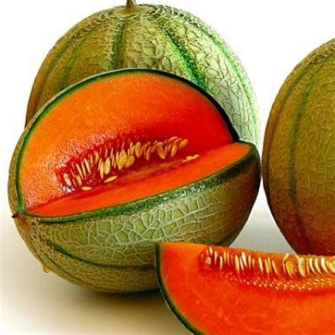 Muskmelon F1 Hybrid Buy Online Vegetable Flower Seeds Garden Tools