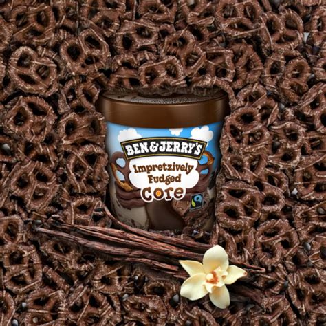 Ben And Jerrys Ice Cream Impretzively Fudged Core 473 Ml Voilà Online