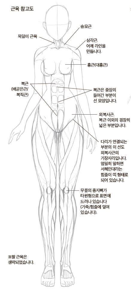 Ak 커뮤니케이션즈 On Twitter 만화나 애니메이션 캐릭터 작화 속에서 여성의 신체는 어떻게 표현될까 캐릭터 작화에서