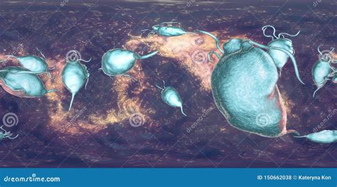 Trichomonas Vaginalis Protozoan 360 Degree Panorama View Stock Illustration Illustration Of