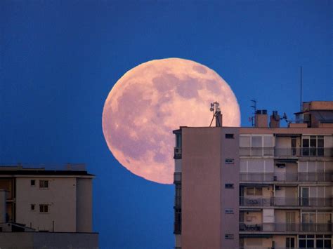 Pink Supermoon How To Watch The Biggest And Brightest Full Moon Of