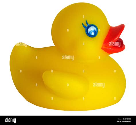 Plastic Duck Hi Res Stock Photography And Images Alamy