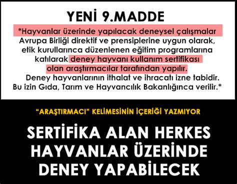 Yeni Hayvan Hakları Yasa Tasarısının İçeriği ve Tuzak Maddeler