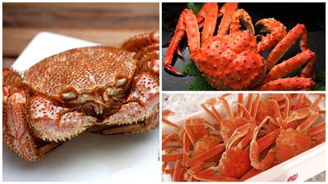 Snow Crab Vs King Crab How Are They Different 50 Off