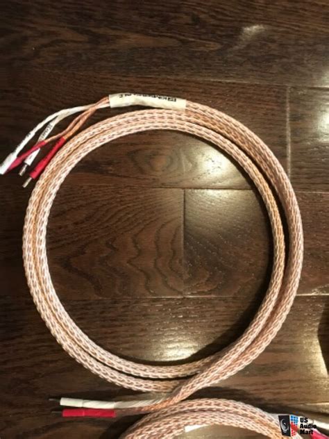 Kimber Kable 12TC Bi Wire Speaker Cables Photo 4430476 US Audio Mart