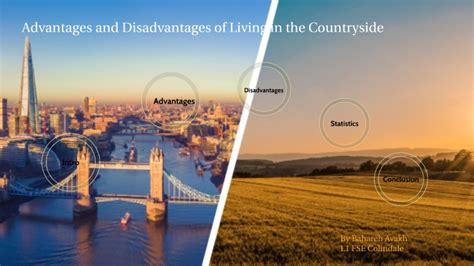 ADVANTAGES AND DISADVANTAGES OF LIVING IN COUNTRYSIDE By Bahareh Avakh