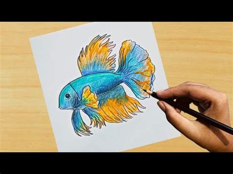 Easiest Tutorial To Draw A Betta Fish Draw With Adyasha2211 Art